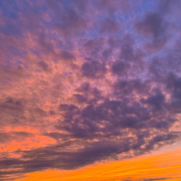 Meet your Posher, Den-den - Picture 1 of 1